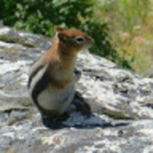 Meet your Posher, Brett